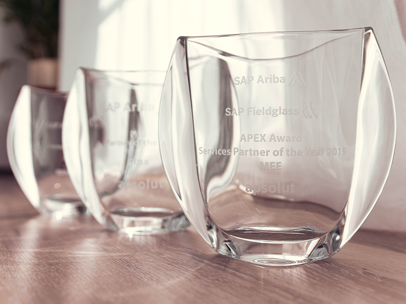 SAP Ariba MEE Partner of the Year Pt. 3