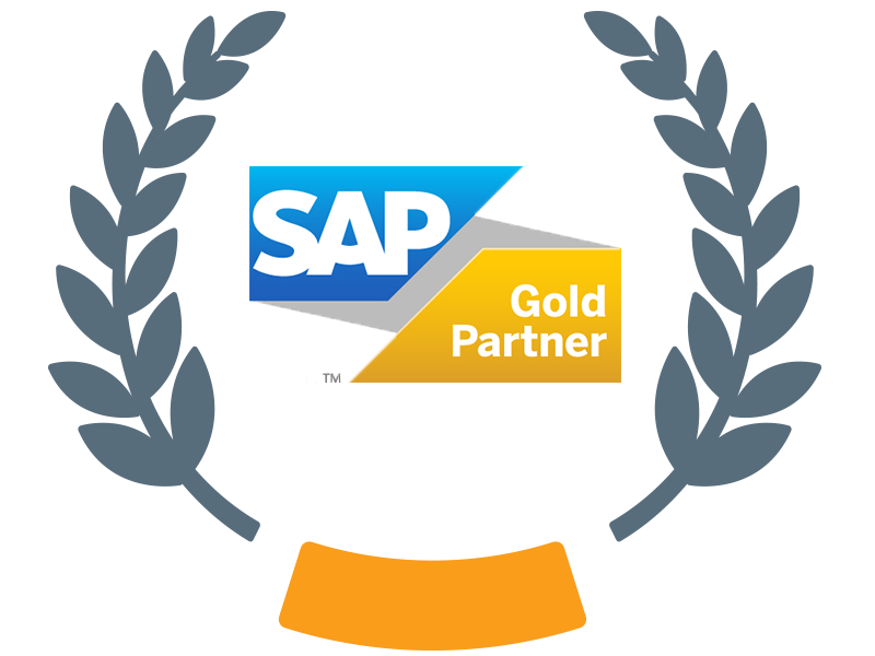 SAP Ariba MEE Partner of the Year Pt. 2   Gold Partner