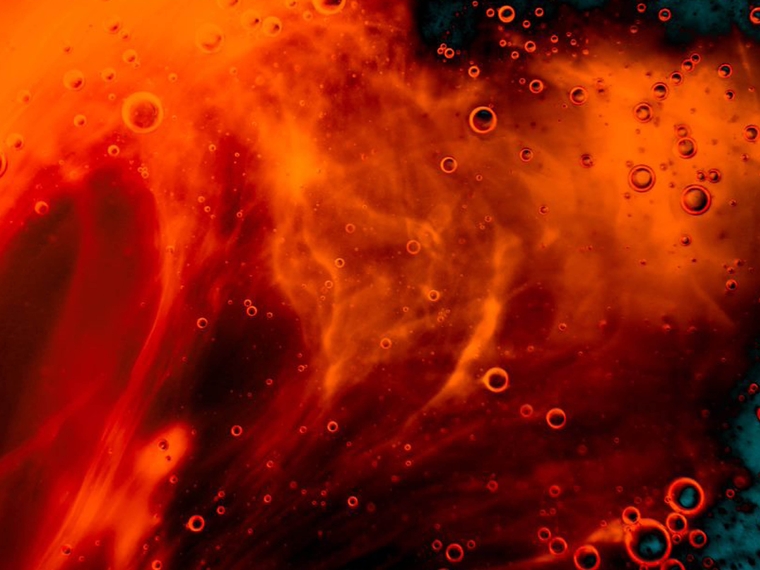 apsolut Fluid now also available in the SAP Store®